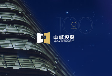 中城投資官網設計
