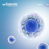 生物醫藥網站建設